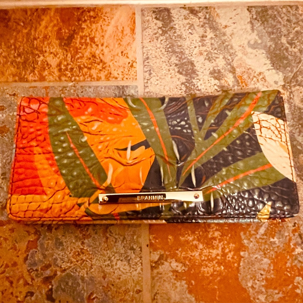 Brahmin Multicolor Women's Clutch